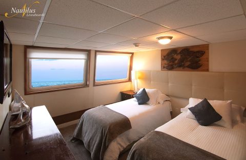 6-c6bo-voyage-plongee-mexique-croisiere-socorro-nautilus-explorer-premium-suite