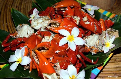 6.2_c6bo-voyages-plongee-papouasie-nouvelle-guinee-Kavieng-Lissenung-Island-Resort-restaurant-food-crabs-Peter-Lange