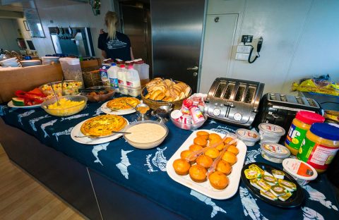 6_Bahamas-Exuma-Cays-diving-cruise-boat-Aqua-Cat-restaurant-buffet