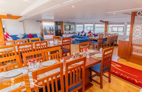 6_c6bo-voyage-plongee-egypte-croisiere-sea-base-bateau-new-regency-restaurant