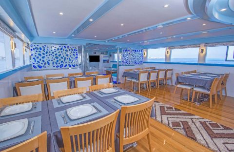 6_c6bo-voyage-plongee-egypte-croisiere-seafari-bateau-dolce-vita-restaurant