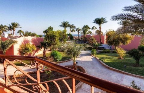 6_c6bo-voyage-plongee-egypte-safaga-hotel-balina-Standard-view