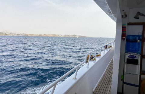 6_c6bo-voyage-plongee-egypte-sharm-el-sheikh-red-sea-diving-college-vue-mer