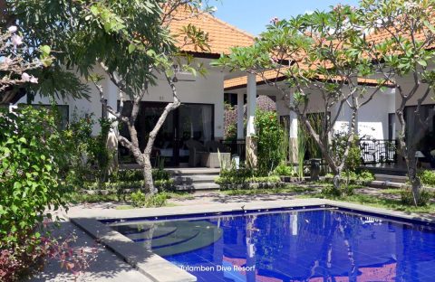 6_c6bo-voyage-plongee-indonesie-bali-tulamben-dive-resort-piscine