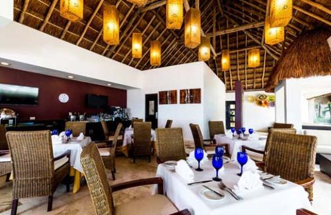 6_c6bo-voyage-plongee-mexique-cozumel-hotel-allegro-cozumel-restaurant