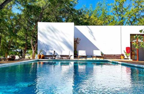 6_c6bo-voyage-plongee-mozambique-tofo-liquid-dive-adventures-hotel-piscine