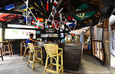 7-Hippocampus-Beach-and-dive-resort-Malapascua-bar