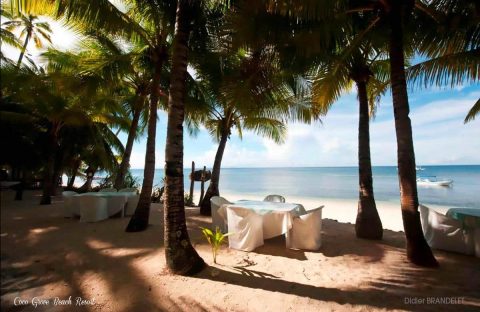 7.4_Abyssworld-Philippines-Safari-Visayas-Siquijore-Coco-Grove-Resort-BRANDELET-Didier