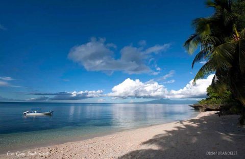 7.5_Abyssworld-Philippines-Safari-Visayas-Siquijore-Coco-Grove-Resort-BRANDELET-Didier-beach-seaview