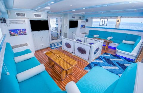 7_c6bo-voyage-plongee-egypte-croisiere-seafari-bateau-dolce-vita-salon