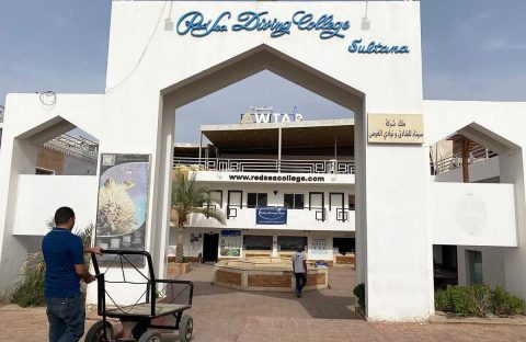 7_c6bo-voyage-plongee-egypte-sharm-el-sheikh-red-sea-diving-college-entree