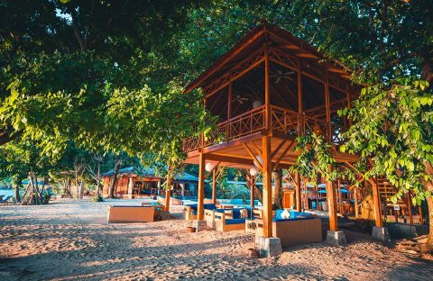 7_c6bo-voyage-plongee-indonesie-siladen-resort-and-spa-Tree-House