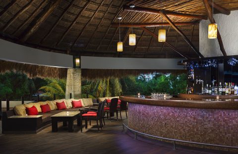 7_c6bo-voyages-plongee-mexique-playa-del-carmen-sejour-the-reef-playacar-bar-Papos