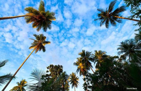 7_c6bo-voyages-plongee-papouasie-nouvelle-guinee-Kavieng-Lissenung-Island-Resort-sky_David-Benz