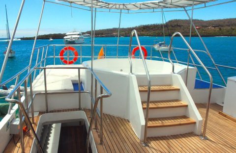 8-Sundeck-hot-tub-Humboldt-Explorer-Galapagos-Explorer-Ventures-Liveaboard-Diving
