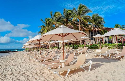 8.2_c6bo-voyage-plongee-mexique-playa-del-carmen-the-reef-coco-beach-resort-plage-transats