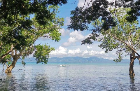 8.2_c6bo-voyage-plongee-philippines-romblon-the-three-p-dive-resort-vue-mer-baie