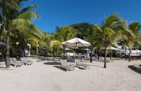 8_c6bo-voyage-plongee-ile-maurice-sejour-grand-baie-Hibiscus-Beach-Resort-Spa-plage