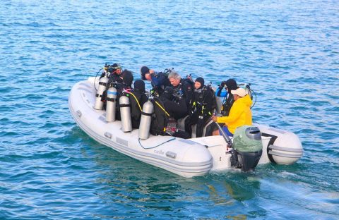 9-Dinghy-divers-Humboldt-Explorer-Galapagos-Explorer-Ventures-Liveaboard-Diving