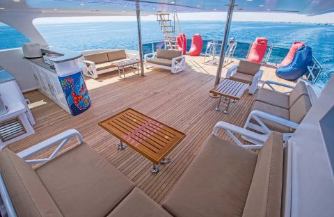 9.1_c6bo-voyage-plongee-egypte-croisiere-seafari-bateau-dolce-vita-terrasse-exterieure-bar