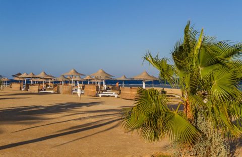9.2_c6bo-voyage-plongee-egypte-hamata-wadi-lahmy-azur-resort-plage