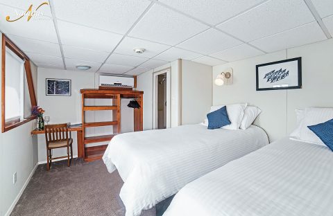 9.3-c6bo-voyage-plongee-mexique-croisiere-socorro-nautilus-explorer-c6bo-voyage-plongee-mexique-croisiere-socorro-suite