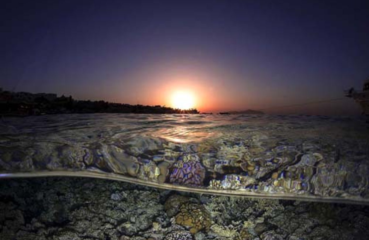 9_c6bo-voyage-plongee-egypte-sharks-bay-umbi-diving-village-underwater-reef