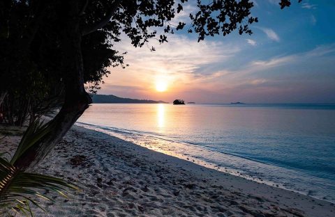 9_c6bo-voyages-plongee-indonesie-raja-ampat-biodiversity-resort-sunrise