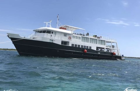 AllStarLiveaboards-Cuba-JA3-011-Exterior-3