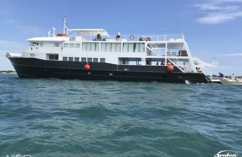 AllStarLiveaboards-Cuba-JA3-012-IMG_0685