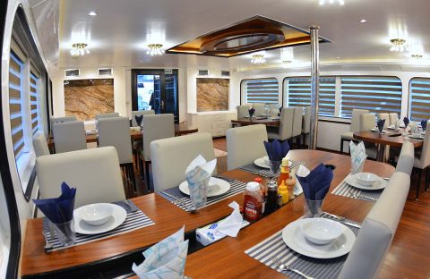 Almonda-(c)-Daniel-Brinckmann-'24-(19)