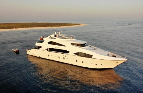 created by dji camera