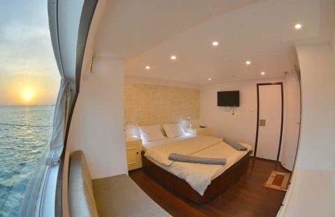 Almonda-(c)-Daniel-Brinckmann-'24-(33)