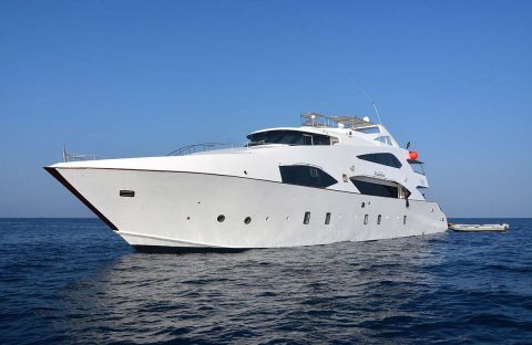 Almonda-(c)-Daniel-Brinckmann-'24-(49)