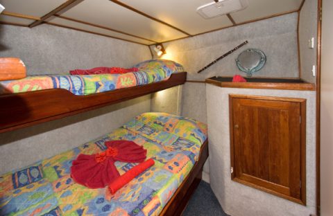 C6Bo-Voyages-Papouasie-plongee-Kimbe-MV-Febrina-boat-cabine-double-twin