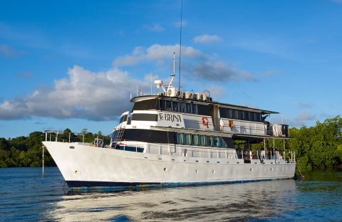 C6Bo-Voyages-Papouasie-plongee-Kimbe-MV-Febrina-boat-credit-Peter-Lange