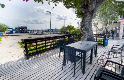DSC05429-HDR
