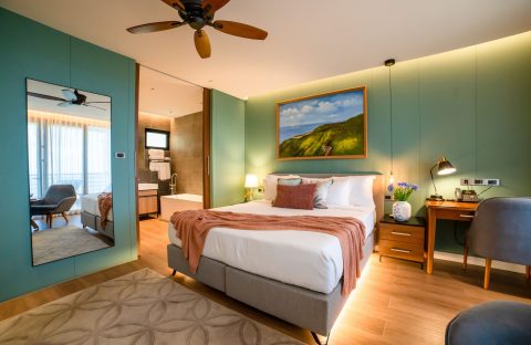 Deluxe Ocean View room 1