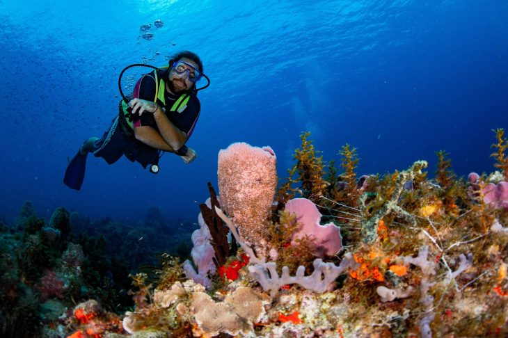 Dive Guide & Coral-1590