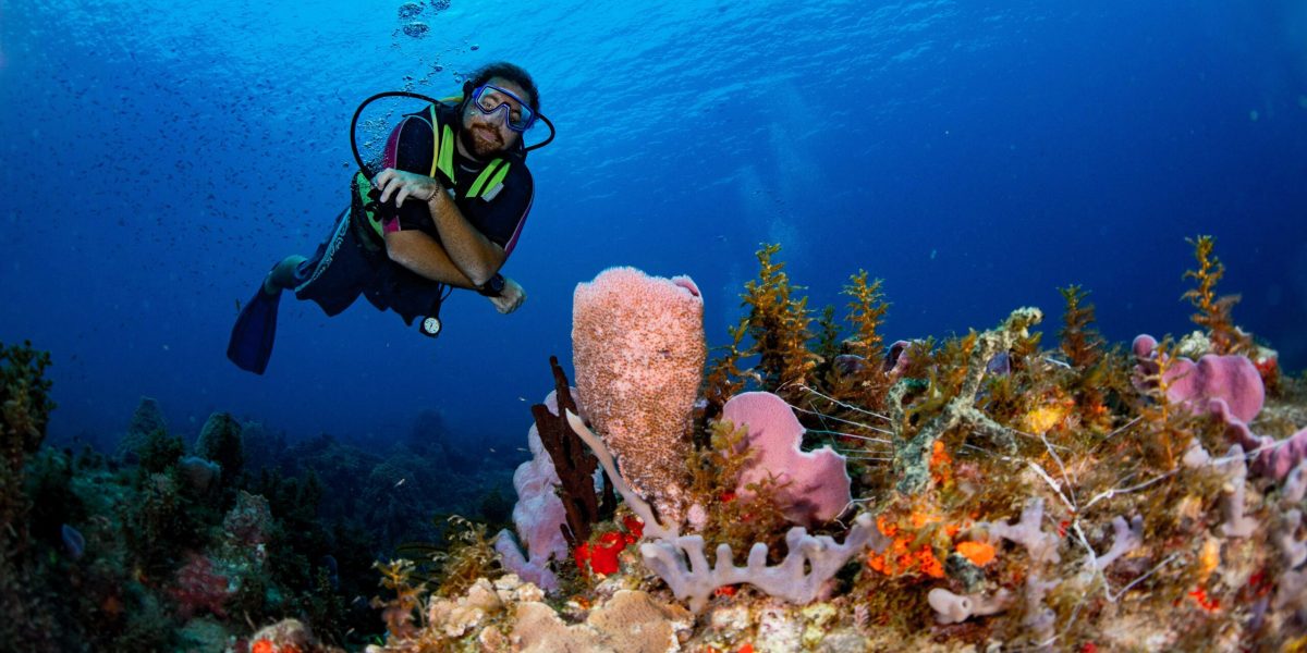 Dive Guide & Coral-1590