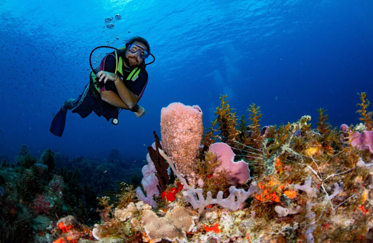 Dive Guide & Coral-1590
