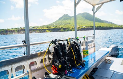 Diving in Statia