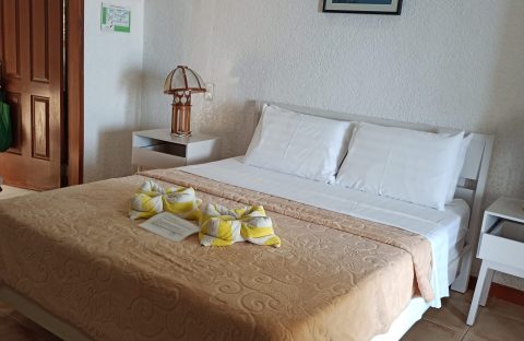 IMG_20240930_154330 (1)