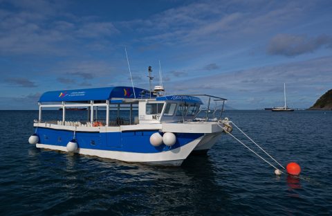 St. Eustatius_2025_Topside_084-edit