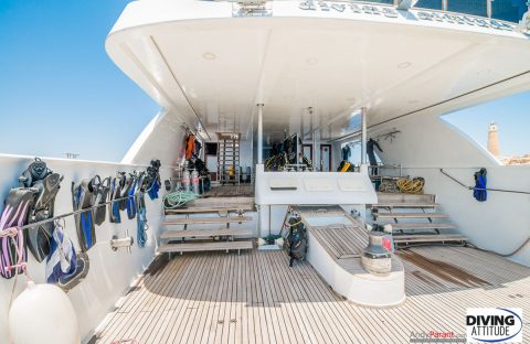c6bo-voyage-plongee-egypte-croisiere-Diving-Attitude-Exocet-plateforme-3