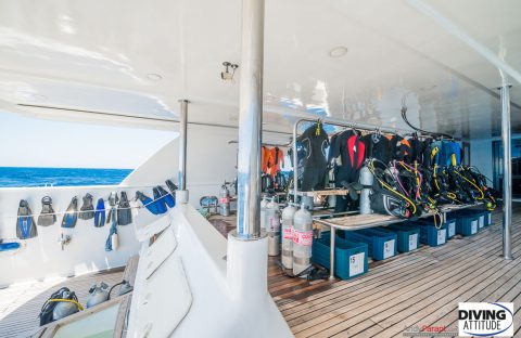 c6bo-voyage-plongee-egypte-croisiere-Diving-Attitude-Exocet-plateforme-4