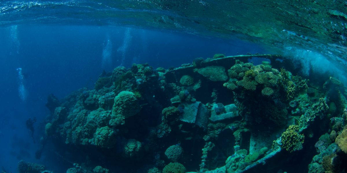 croisiere_Elba_xplorer