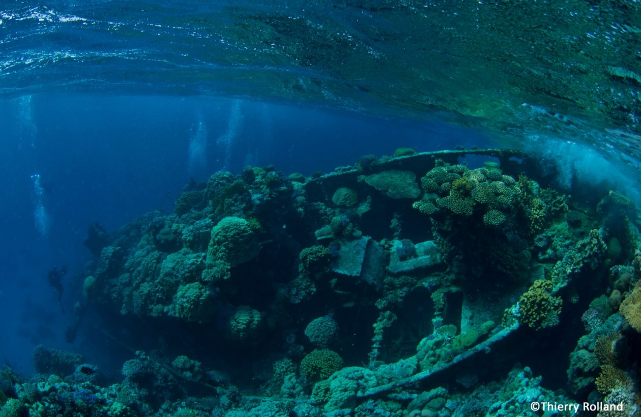 croisiere_Elba_xplorer