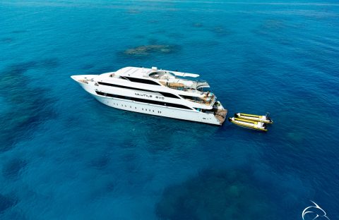 nautile-2_53642777225_o