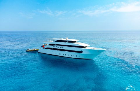 nautile-4_53642317251_o